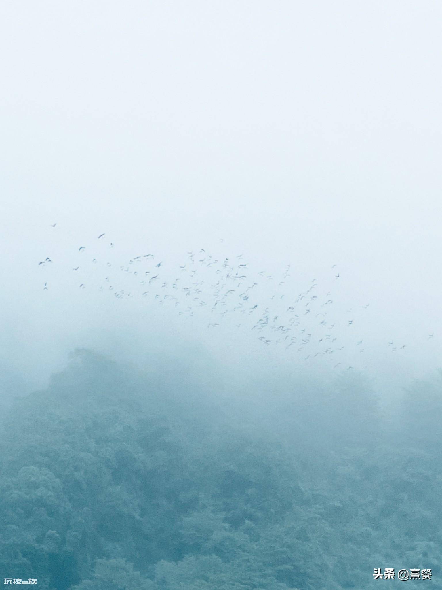 青城山海拔多少米高(成都都江堰青城山景区的游玩攻略)-图片15